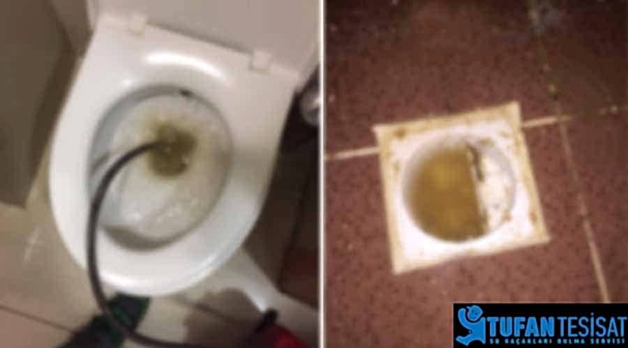 pimaşların tıkanması